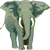 Lokingog eBooks